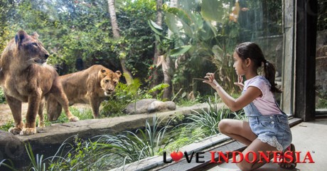 Bali Zoo : Zoo Explorer