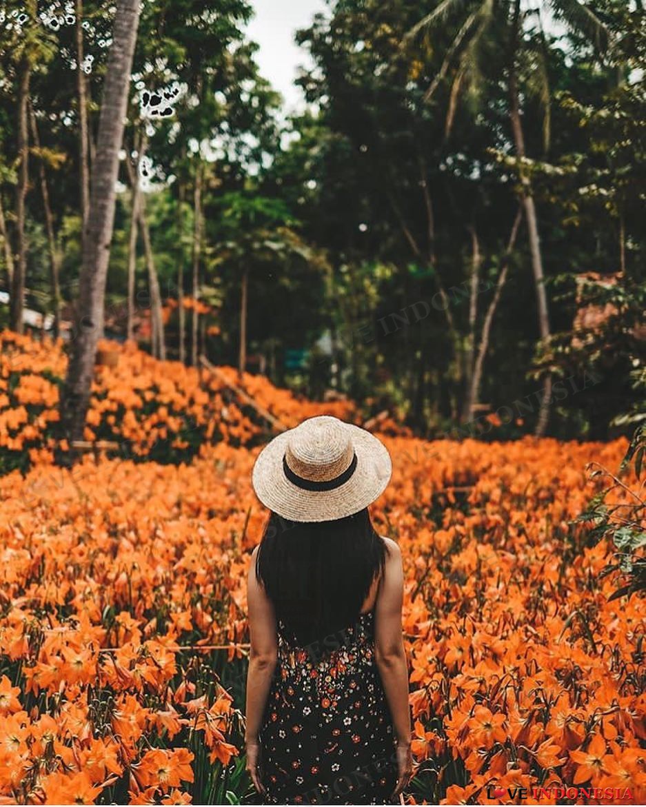 Wisata Taman Bunga Dari Berbagai Daerah di Indonesia