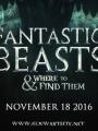 J.K. Rowling Hadirkan Koper Ajaib di Teaser Prekuel Harry Potter