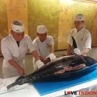 Giant Tuna Cutting