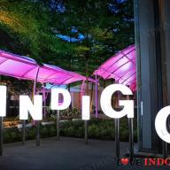 IINDIGO Lounge