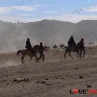 Sejumlah joki berkuda membawa wisatawan ke Gunung Bromo di Taman Nasional Bromo Tengger Semeru, Jawa Timur, Sabtu (4 11). Harga sewa kuda berkisar Rp 100 - 150 ribu. (Liputan6.com Fery Pradolo)