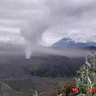 Gunung Bromo berstatus waspada. (Liputan6.com Dian Kurniawan)