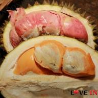 Kampung Durian Banyuwangi memiliki beragam varian durian, beberapa di antaranya adalah durian merah dan orange. (Liputan6.com Dian Kurniawan)