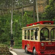 Bus Wara Wiri Dago Dreampak bisa diakses pengunjung secara gratis saat wisata malam dibuka.(Dok. Dago Dreampark)_IG