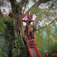 Curug Ciherang_Rumah Pohon (sumber: wisatadiindonesia)