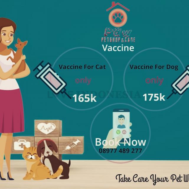 vaksin kucing di kenjeran