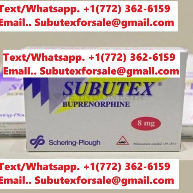 Order Subutex 8mg Pills Near Me:+1(508) 443 6032