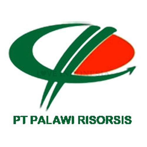 Palawi Tours & Travel