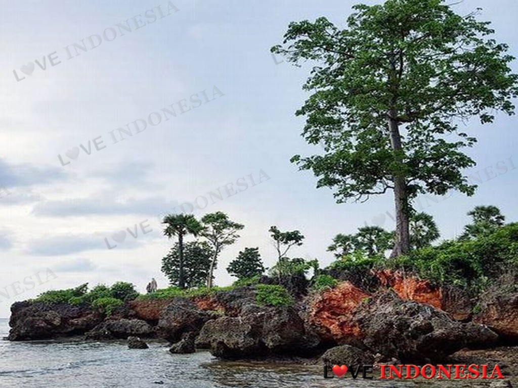 Oksigen Pulau Giliyang Madura Jadi Incaran Wisatawan Dunia