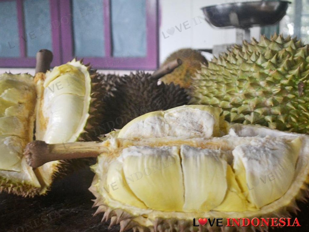 Tips Memilih Durian yang Matang dan Manis, Tanpa Tertipu Penjual