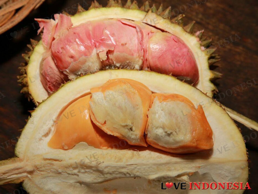 Bikin Ngiler, Kampung Ini Punya Beragam Jenis Durian