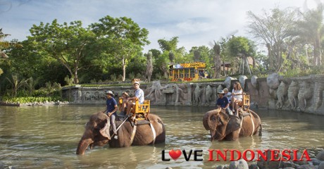 Bali Zoo : Elephant Expedition Package