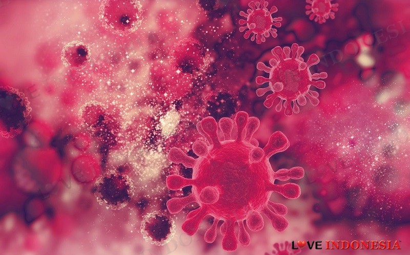 5 Makanan Sehat untuk Jaga Imunitas di Tengah Pandemi Covid-19