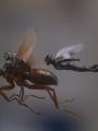 Film Ant-Man and the Wasp Ungkap Rahasia Besar di Masa Lalu