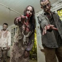 17 Film Zombie Terbaik Sepanjang Masa, Yakin Berani Nonton Sendiri?