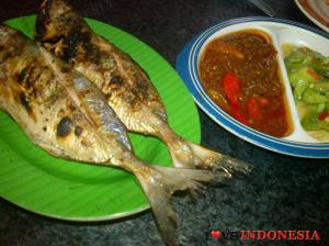 Ikan Tude Manado