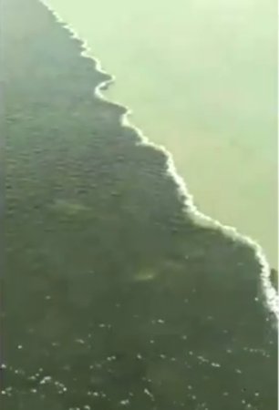 Viral Air Laut di Bawah Jembatan Suramadu Beda Warna Seperti Terbelah