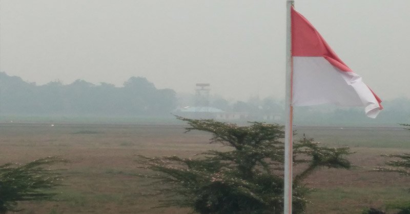 Viral Emak-Emak Sesak Napas di Tengah Kabut Asap Riau