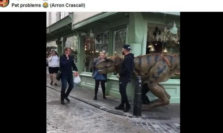 Viral Video Seorang Pria Ajak Dinosaurus Jalan-jalan
